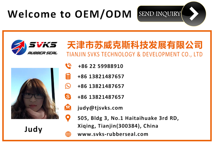 kontakte - judy.png contact - judy.png