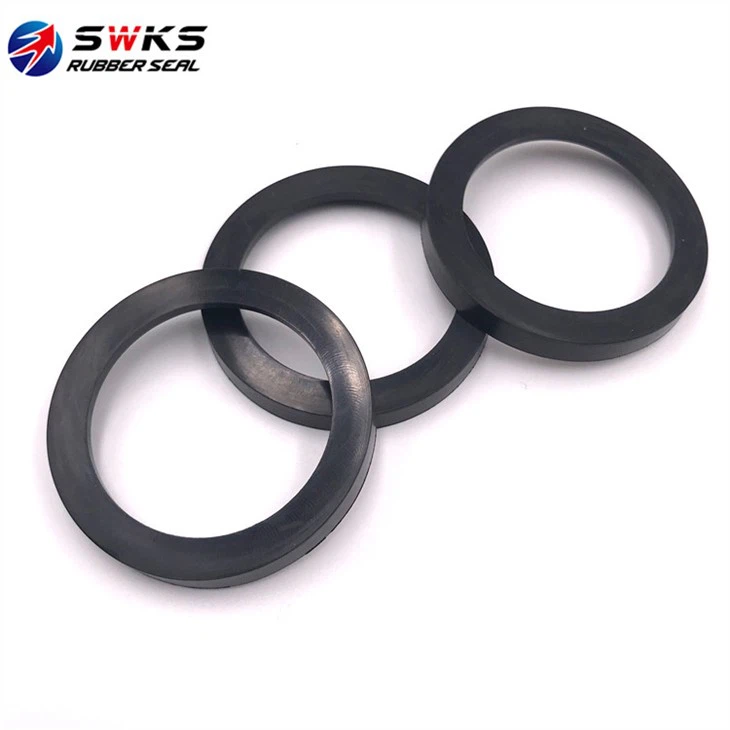 gasket (20)