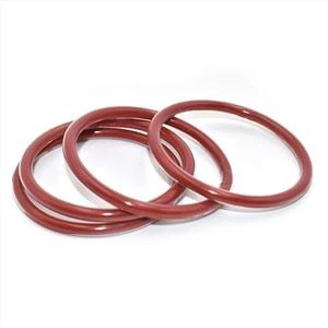 FEP/PFA Encapsulated silikon O bag