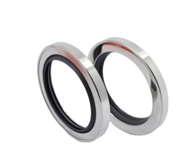 Ptfe Nerjaveèi Double Lip lwil oliv sele 30 X 47 X 7